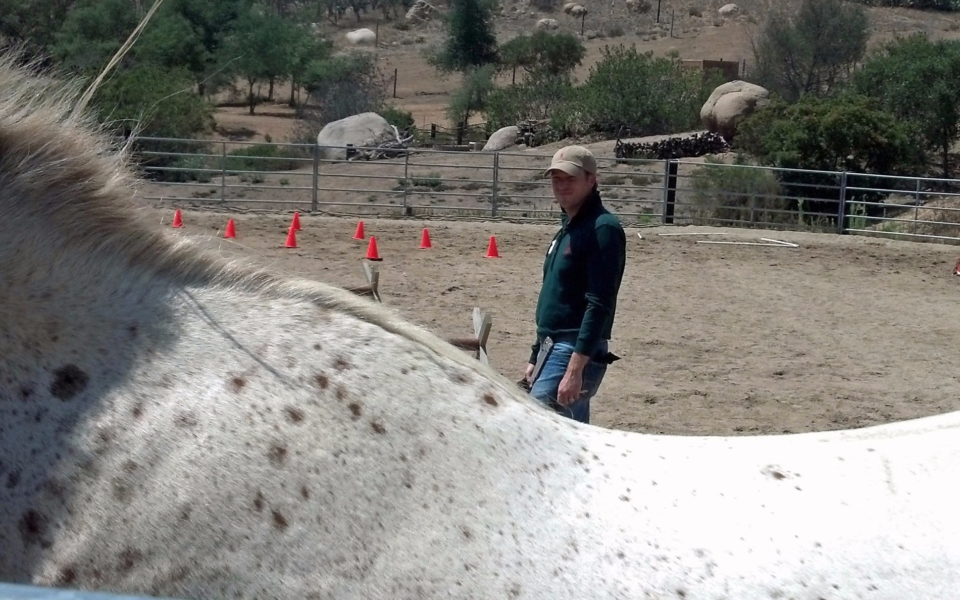 Jon and Cooper herding exercise 2_edited-1