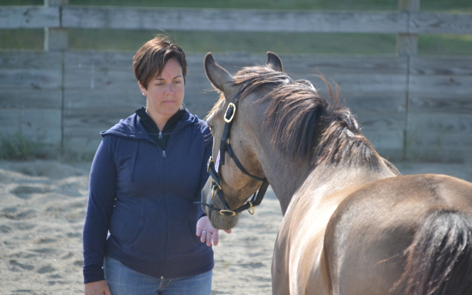 Lovely Kerri Merlin joinup