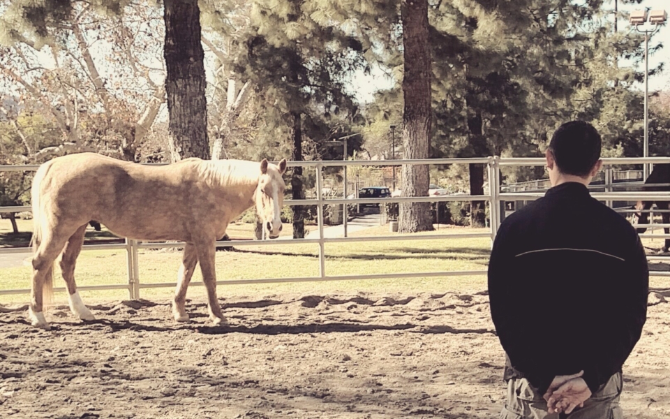 Ollie and Hieu 2015 12 12