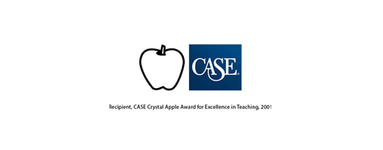 Case Crystal Apple Logo 3